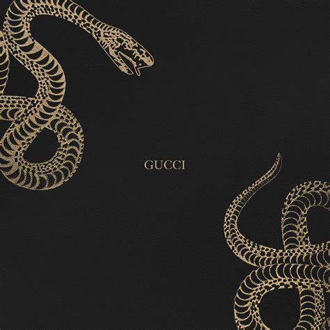 gucci snakes producer|what is gucci.